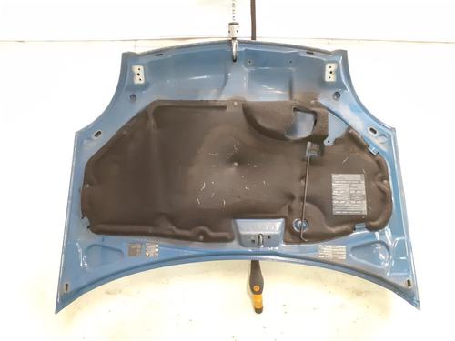 Used Hood RENAULT KANGOO (KC0/1_) 1.5 dCi (84 hp) 24792364
