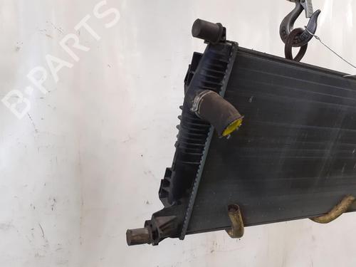 Used Water radiator RENAULT MEGANE III Hatchback (BZ0/1_, B3_) 1.5 dCi (BZ1G, BZ1W, BZ0R) (95 hp) 24790245