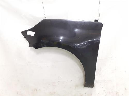 Used Left front fenders RENAULT SCÉNIC III (JZ0/1_) 1.9 dCi (JZ0J, JZ1J, JZ1K, JZ1S) (131 hp) 24790760