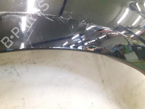 Left front fenders FORD GALAXY III (CK) 2.0 EcoBlue | BP29893665C41