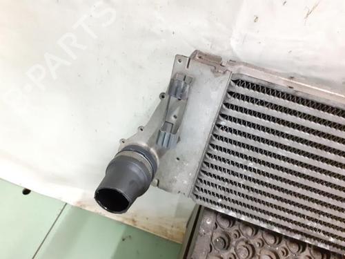 Intercooler RENAULT MEGANE II (BM0/1_, CM0/1_) 1.5 dCi (BM1E, CM1E) | BP24783004M30 