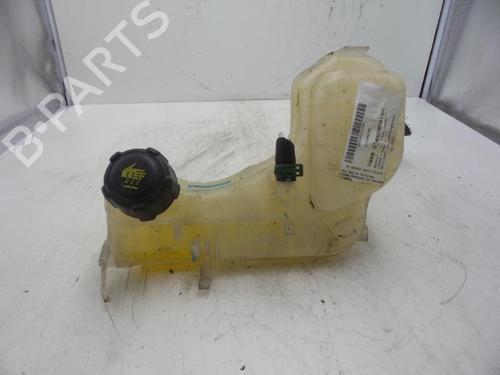 Used Expansion tank RENAULT LAGUNA III (BT0/1) 1.5 dCi (BT00, BT0A, BT0T, BT1J) (110 hp) 24781838