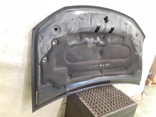 Hood DACIA SANDERO II TCe 90 (B8M1, B8MA, B8AC) | BP29880340C1 