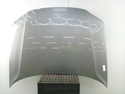 Used Hood Hood VW PASSAT B5.5 (3B3) 2.5 TDI (150 hp) 35810718 35810718