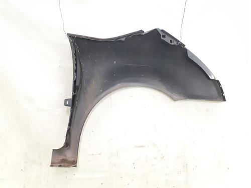 Left front fenders CITROËN C4 Picasso I MPV (UD_) 1.6 HDi 110 | BP24791236C41 