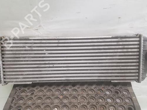 Used Intercooler RENAULT TRAFIC II Van (FL) 1.9 dCi 80 (FL0B) (82 hp) 24778558