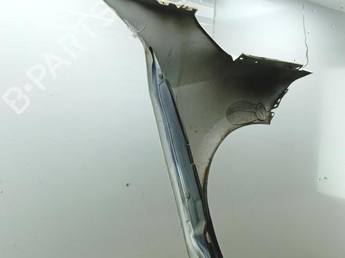 Parafango anteriore sinistro Parafango anteriore sinistro RENAULT MEGANE CC (EZ0/1_) 1.9 dCi (EZ0J, EZ1S) (131 hp) 39698519 39698519
