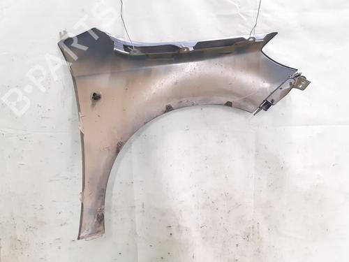 Left front fenders SKODA FABIA II (542) 1.9 TDI | BP24847431C41