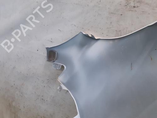 Left front fenders RENAULT KADJAR (HA_, HL_)  | BP29440421C41 
