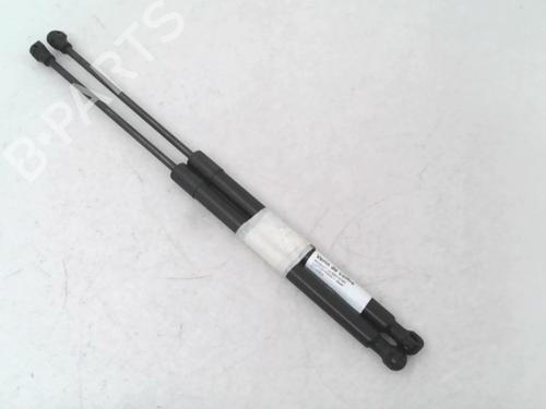 Used Tailgate lift support RENAULT CAPTUR II (HF_) [2020-2025]  24779823