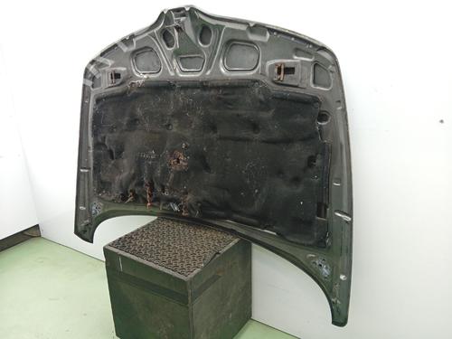 Motorhaube für Motorhaube 38726011 38726011