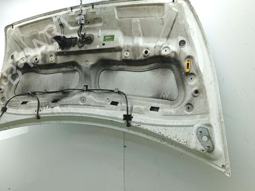 hood-renault-master-iii-van-fv-2010-40249853 main image