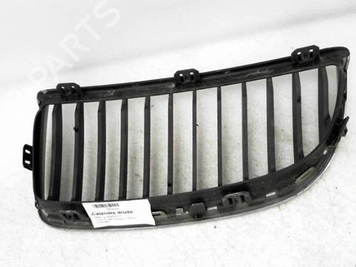 Grille BMW 3 (E90) 320 d | BP24777192C40 