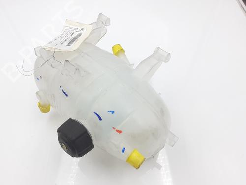 Used Expansion tank RENAULT TRAFIC III Platform/Chassis (EG_) 2.0 dCi 145 (EGML) (145 hp) 32046867