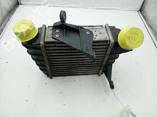 Used Intercooler VW POLO (9N_, 9A_) 1.4 TDI (80 hp) 24792648
