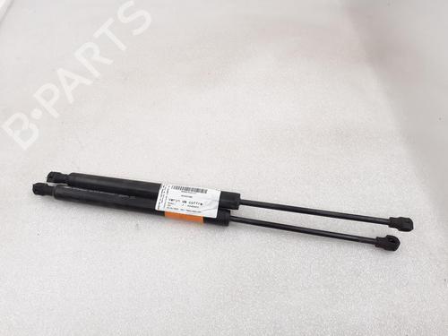 Tailgate lift support RENAULT ZOE (BFM_) ZOE | BP24787266C138