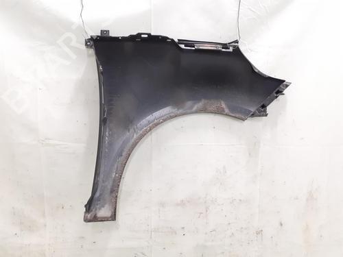 Left front fenders RENAULT SCÉNIC III (JZ0/1_) 1.9 dCi (JZ0J, JZ1J, JZ1K, JZ1S) | BP24790760C41 