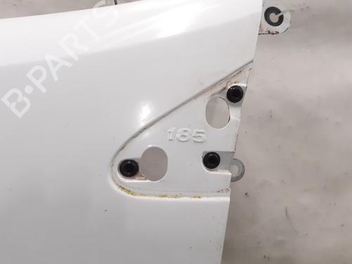 Left front fenders RENAULT CLIO III (BR0/1, CR0/1) 1.5 dCi (BR17, CR17) | BP24773136C41 
