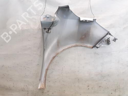 Left front fenders OPEL MERIVA B MPV (S10) 1.6 CDTi (75) | BP29910874C41