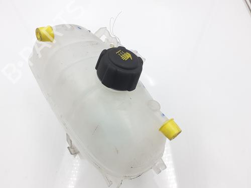 expansion-tank-renault-trafic-iii-platformchassis-eg_-2014-32046867 main image