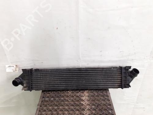 Intercooler FORD S-MAX (WA6) 1.8 TDCi | BP24781020M30 
