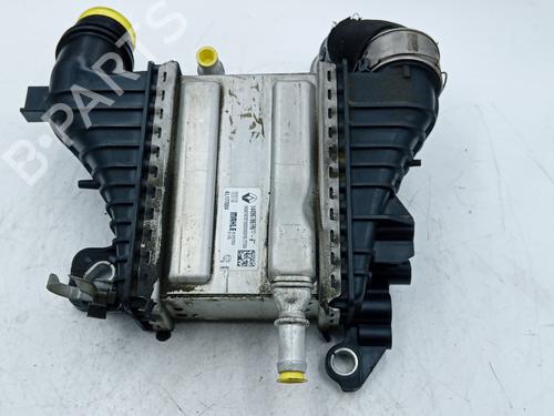 Intercooler RENAULT KADJAR (HA_, HL_) 1.5 BLUE dCi 115 (HLA6) | BP33724769M30  - Image 5