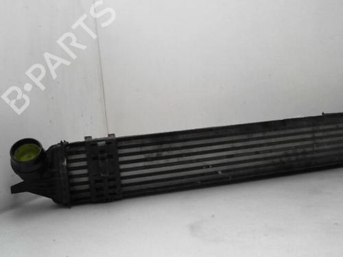 Used Intercooler RENAULT LAGUNA III (BT0/1) 2.0 dCi (BT01, BT08, BT09, BT0E, BT0K, BT12, BT1C, BT1D,... (150 hp) 24775111