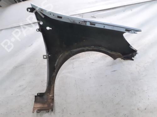 Left front fenders RENAULT CLIO III (BR0/1, CR0/1) 1.5 dCi (C/BR0G, C/BR1G) | BP28497291C41 