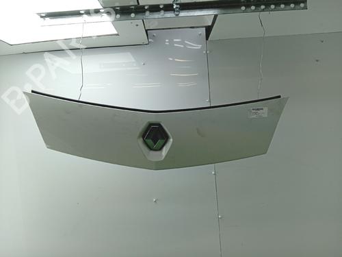 Used Grille Grille RENAULT KANGOO Express (FW0/1_) [2008-2026] 36436967 36436967