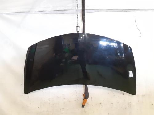 Used Hood RENAULT CLIO III (BR0/1, CR0/1) 1.2 16V (BR02, BR0J, BR11, CR02, CR0J, CR11) (75 hp) 24794012