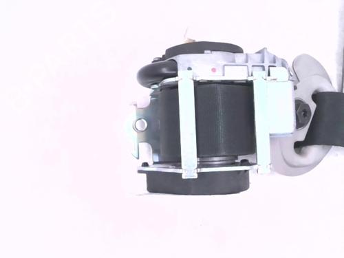 Used Front right belt tensioner RENAULT LAGUNA III (BT0/1) 2.0 dCi GT (BT11, BT1E, BT1N) (178 hp) 24783035
