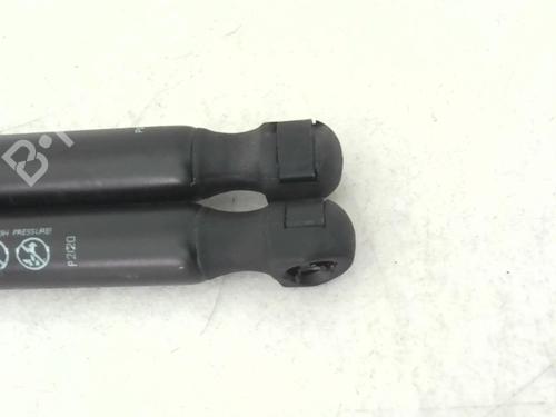 Tailgate lift support FORD FOCUS I Turnier (DNW) 1.8 Turbo DI / TDDi | BP24779282C138 