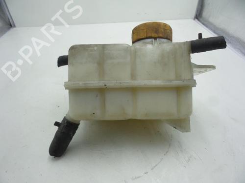 Used Expansion tank CHEVROLET AVEO / KALOS Hatchback (T250, T255) 1.2 (84 hp) 24782919