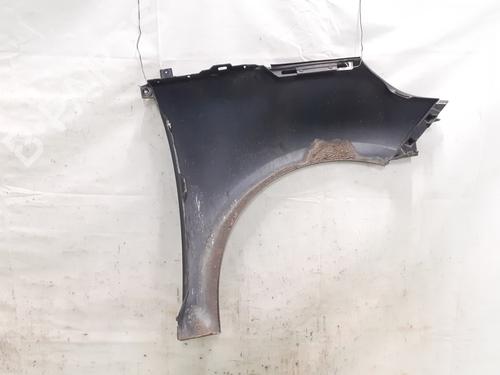 Left front fenders RENAULT SCÉNIC III (JZ0/1_) 1.9 dCi (JZ0J, JZ1J, JZ1K, JZ1S) | BP24798120C41 