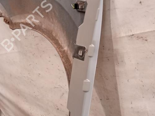 Right front fenders RENAULT TWINGO II (CN0_) 1.2 16V (CN04, CN0B) | BP29829503C42