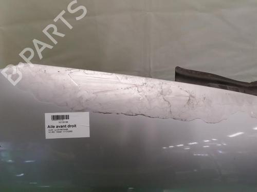 Right front fenders AUDI A2 (8Z0) 1.4 TDI | BP24776206C42 