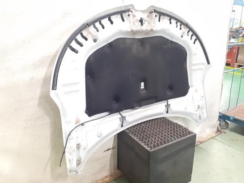 Hood RENAULT TALISMAN (LP_) 1.5 dCi 110 (LPA3) | BP32344896C1 