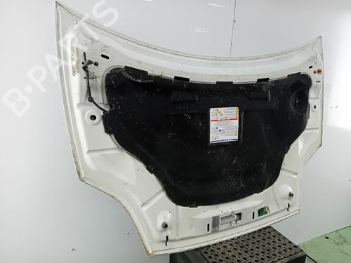 Used Hood Hood FIAT BRAVO II (198_) 1.6 D Multijet (198AXM1B) (90 hp) 35957048 35957048