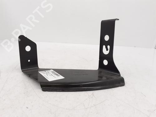 Pannello frontale RENAULT MASTER III Van (FV) Z.E. (FV1Z) (77 hp) 31342629