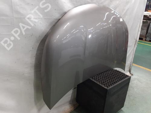 Used Hood Hood CITROËN C4 II (NC_) 1.6 HDi 115 (114 hp) 34411841 34411841