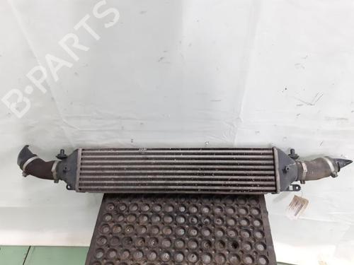 Used Intercooler FIAT BRAVO II (198_) 1.9 D Multijet (198AXB1A) (120 hp) 24781240