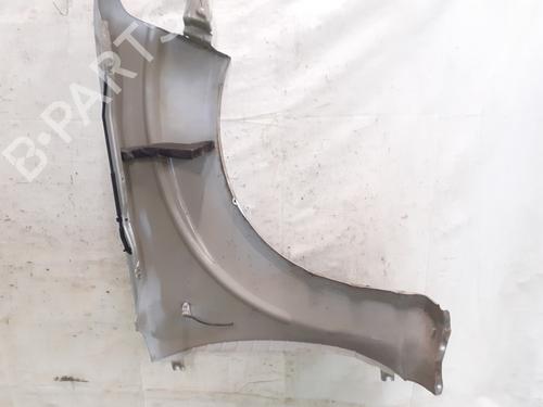 Left front fenders NISSAN PATHFINDER III (R51) 2.5 dCi 4WD | BP27926975C41 