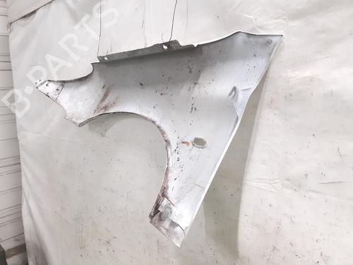 Right front fenders PEUGEOT 206 Hatchback (2A/C) 1.4 HDi eco 70 | BP31041583C42