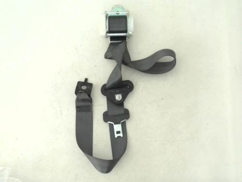 Used Rear left belt tensioner RENAULT CLIO III (BR0/1, CR0/1) 1.5 dCi (75 hp) 24779006
