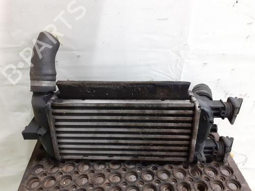 Used Intercooler FIAT 500 (312_) 1.3 D Multijet (312AXB1A) (75 hp) 24781336