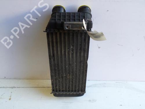 Intercooler PEUGEOT 206 Hatchback (2A/C) 1.6 HDi 110 | BP24775049M30 