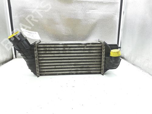 Intercooler CITROËN DS5 2.0 HDi 165 | BP24794782M30 - Image 4