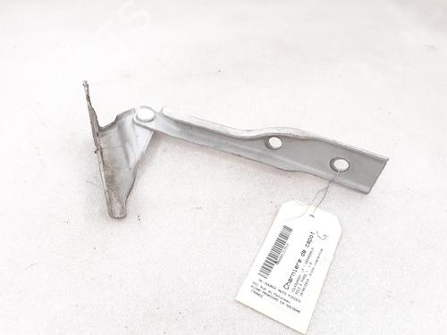 Hinge/Door check strap VW POLO V (6R1, 6C1) 1.6 TDI | BP24791216C146 