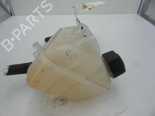 Expansion tank RENAULT KANGOO Express (FW0/1_) 1.5 dCi 75 (FW07, FW10, FW04) | BP24780645C120 
