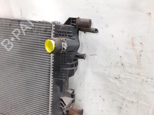 Used Water radiator RENAULT MEGANE III Hatchback (BZ0/1_, B3_) 1.5 dCi (106 hp) 24783276